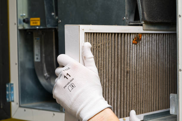 Best Air Vent Cleaning Services  in Portage, PA